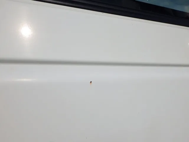 フロントパネルに飛び石キズがあります。|いすゞ フォワード 2PG-FRR90S1(2WD)の写真25