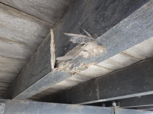 ボディー後方の助手席側横ネタに腐り・割れがあります。|いすゞ フォワード 2PG-FRR90S1(2WD)の写真38