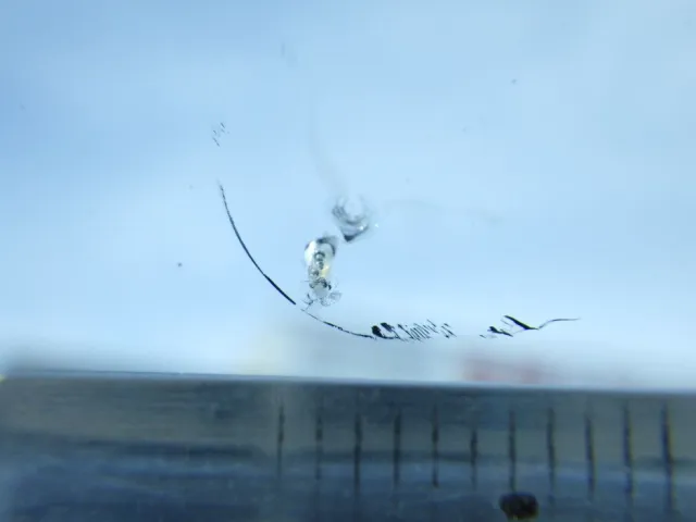 フロントガラスに小キズがあります。|三菱 キャンター TKG-FEB90(2WD)の写真20