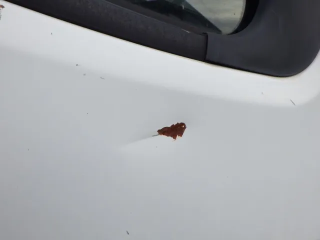 運転席側ドアにキズ・サビ・ヘコミがあります。|三菱 キャンター TPG-FEB50(2WD)の写真18