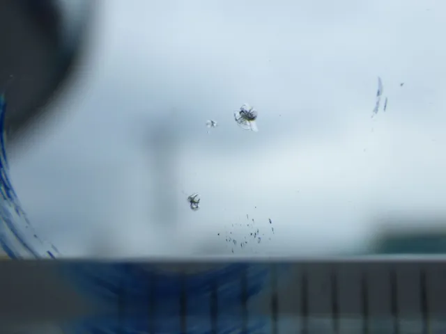 フロントガラスに小キズがあります。|日野 レンジャー 2KG-FC2ABA(2WD)の写真18