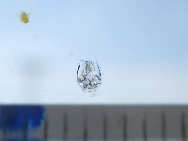 フロントガラスに小キズがあります。|日野 レンジャー 2KG-FC2ABG(2WD)の写真21