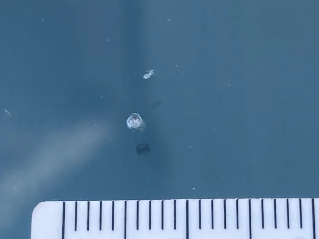 Fガラスに飛び石が有ります。|いすゞ フォワード 2RG-FRR90T2(2WD)の写真41