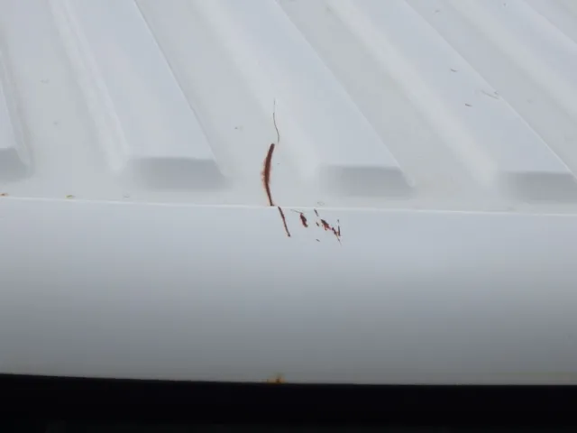 ルーフにキズ・サビがあります。|日野 レンジャー BKG-FD7JLYA(2WD)の写真28