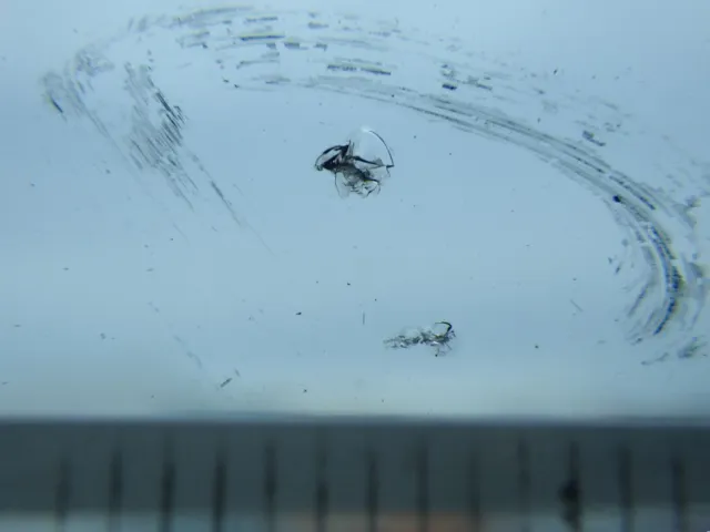 フロントガラスに小キズがあります。|三菱 スーパーグレート QPG-FU64VZの写真12