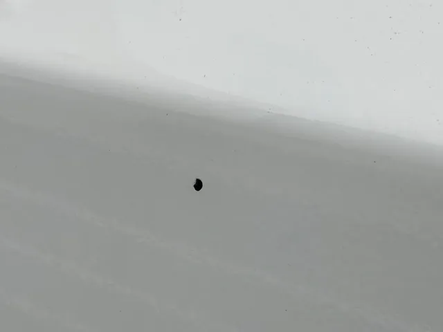 点キズの拡大写真です。|三菱 ファイター 2KG-FK62FZの写真37