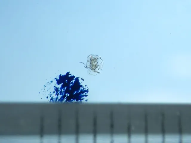 フロントガラスに小キズがあります。|いすゞ フォワード PKG-FRR90S1(2WD)の写真17