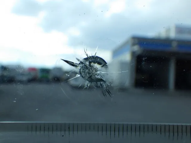 フロントガラスに飛び石キズがあります。|UDトラックス クオン QPG-CD5ZLの写真12