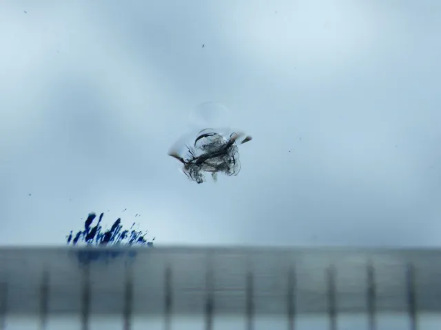 フロントガラスに小キズがあります。|いすゞ エルフ TPG-NKR85AN(2WD)の写真17