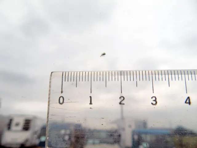 フロントガラス運転席側に小キズがあります。|三菱 スーパーグレート 2KG-FV70HYの写真20