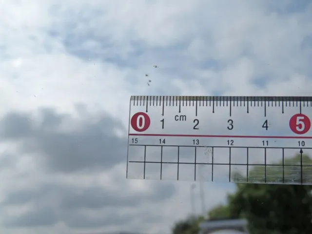 フロントガラスに小キズがあります。|UDトラックス クオン 2PG-GK5AABの写真16