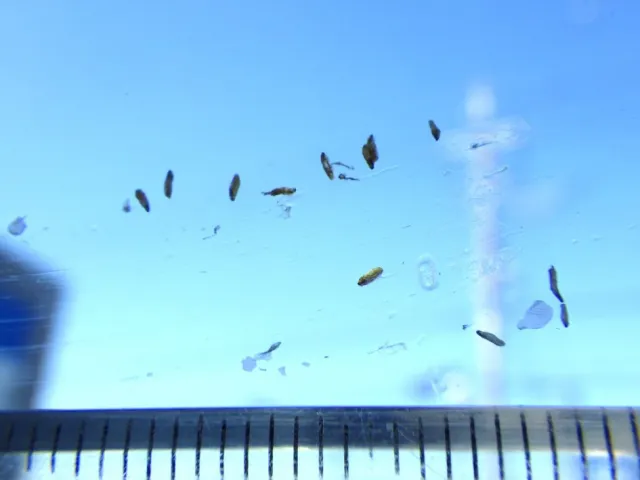 UDトラックス クオン 2PG-CD5CAの写真13