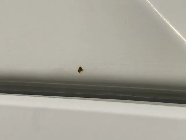 小キズの拡大写真です。|日野 デュトロ TKG-XZC605M(2WD)の写真47