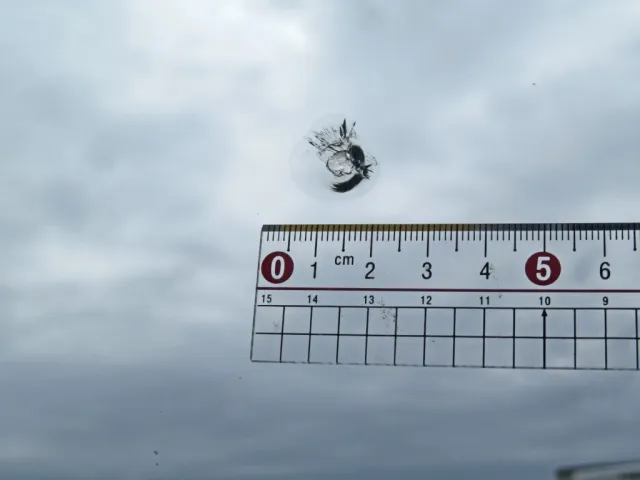 フロントガラスに飛び石跡があります。|UDトラックス クオン 2PG-CG5CAの写真26