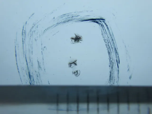 フロントガラスに小キズがあります。|いすゞ ギガ 2PG-CXZ77CTの写真14