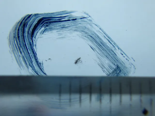 いすゞ ギガ 2PG-CXZ77CTの写真15