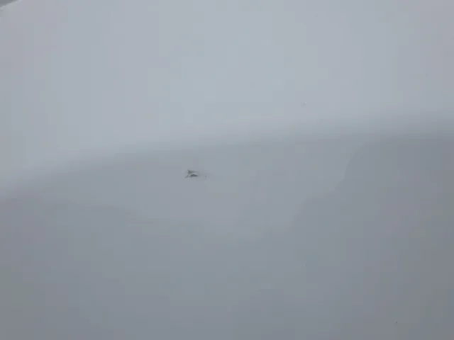 助手席側ドアに小キズがあります。|いすゞ ギガ 2PG-CXZ77CTの写真22