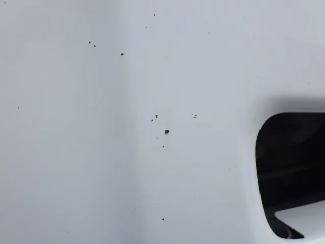 フロントバンパーに飛び石キズがあります。|いすゞ ギガ 2PG-CXZ77CTの写真24