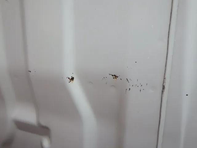 キャブ裏側にキズ・サビがあります。|日野 デュトロ TKG-XZU650M(2WD)の写真27