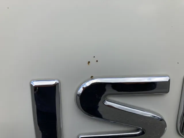 Fパネルに細かい飛び石が有ります。|いすゞ フォワード 2RG-FRR90S2(2WD)の写真44