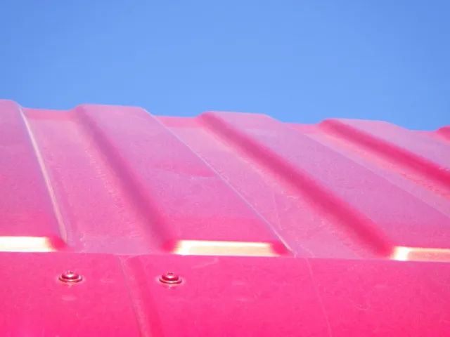 ルーフに軽いヘコミがあります。|三菱 スーパーグレート 2PG-FS74HZの写真28