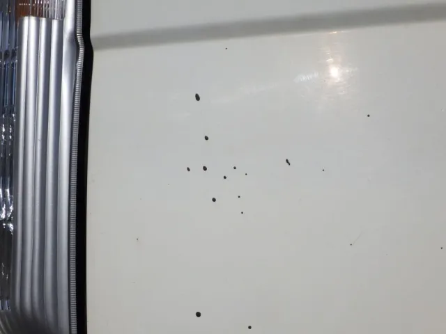 助手席側ドアに塗料の付着があります。|いすゞ エルフ TKG-NJR85AN(2WD)の写真19