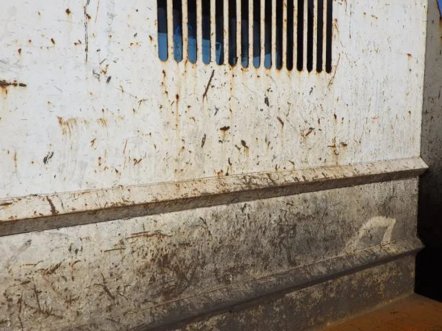 プロテクター裏側にキズ・サビ・ヘコミがあります。|いすゞ エルフ TKG-NJR85AN(2WD)の写真30