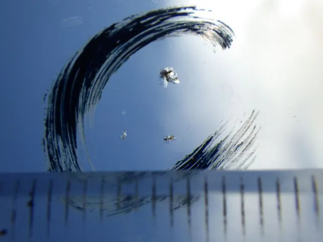 フロントガラスに小キズがあります。|いすゞ エルフ TKG-NJR85A(2WD)の写真15