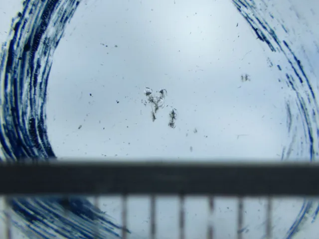 フロントガラスに小キズがあります。|日野 デュトロ 2RG-XZU722M(2WD)の写真18