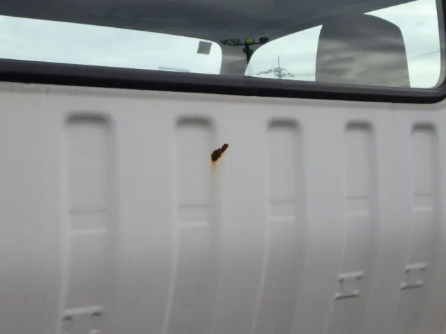 キャブ後方にキズ・サビがあります。|日野 デュトロ 2RG-XZU722M(2WD)の写真29