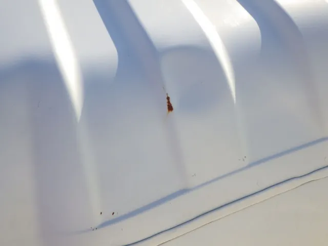 ルーフ後方にサビがあります。|いすゞ フォワード 2PG-FRR90S1(2WD)の写真21