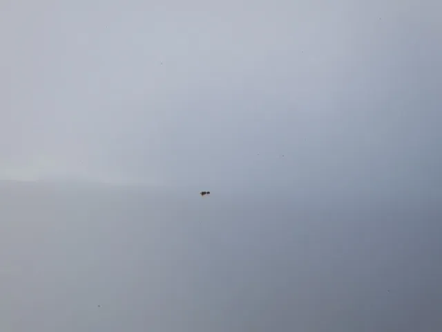 フロントパネルに軽いキズ・ヘコミがあります。|日野 デュトロ 2RG-XZU710M(2WD)の写真18