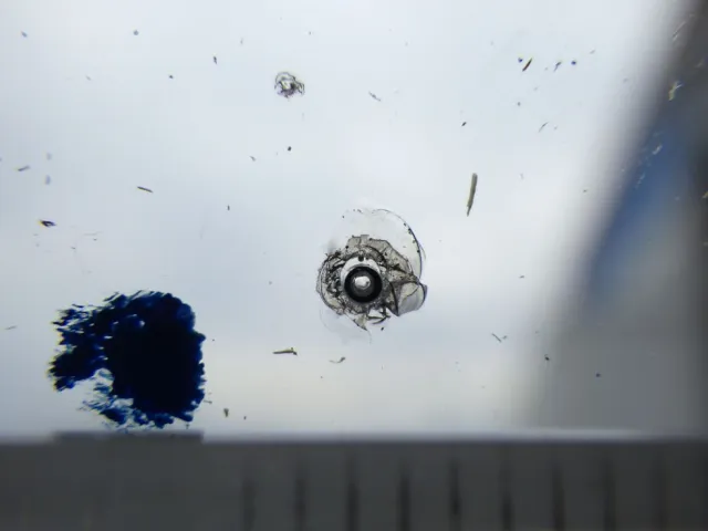 フロントガラスに小キズがあります。|三菱 スーパーグレート 2PG-FS74HZの写真12