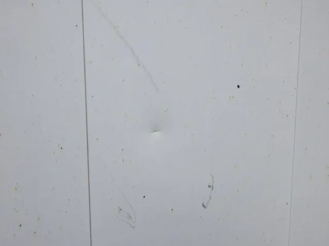 リヤ扉にキズ・ヘコミがあります。|三菱 スーパーグレート 2PG-FS74HZの写真46