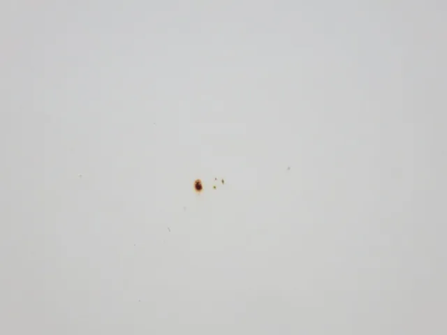 フロントパネルに飛び石キズがあります。|いすゞ エルフ TPG-NPR85AR(2WD)の写真24