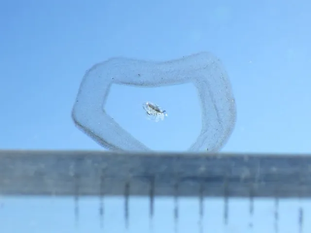 フロントガラスに小キズがあります。|三菱 キャンター TKG-FEB80(2WD)の写真15