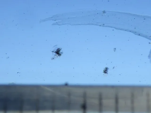 フロントパネルに小キズがあります。|ニッサンディーゼル コンドル BDG-PK37Cの写真18