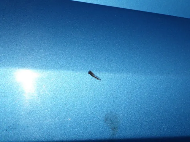 助手席側クォーターパネルにキズがあります。|いすゞ フォワード TKG-FRR90S2(2WD)の写真20