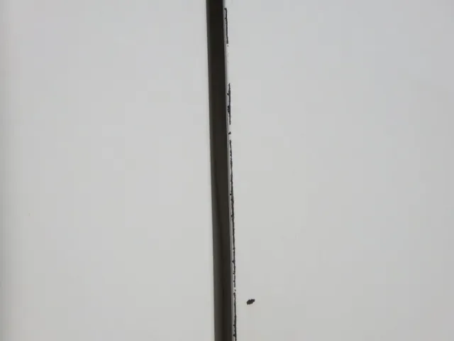 運転席側ドアにキズがあります。（助手席側にもあります）|日野 デュトロ TKG-XZU710M(2WD)の写真28