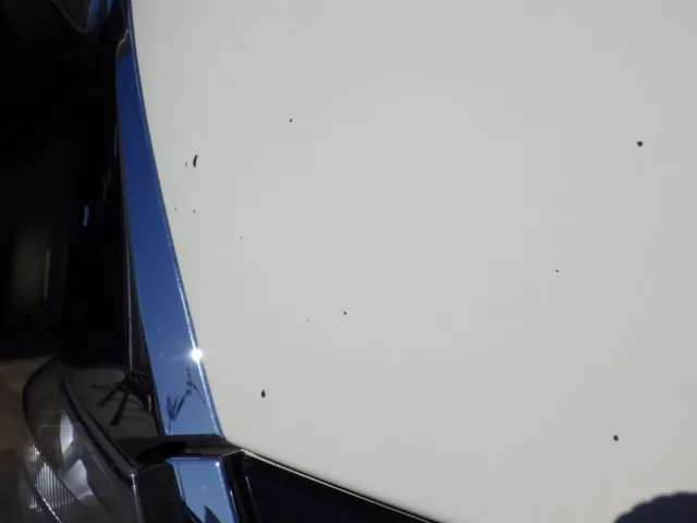 フロントパネルに飛び石キズがあります。|日野 デュトロ TKG-XZU710M(2WD)の写真30