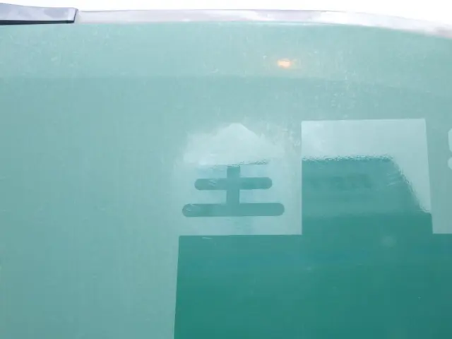 左右のドアに看板跡があります。|いすゞ ギガ QDG-EXZ52BJの写真19