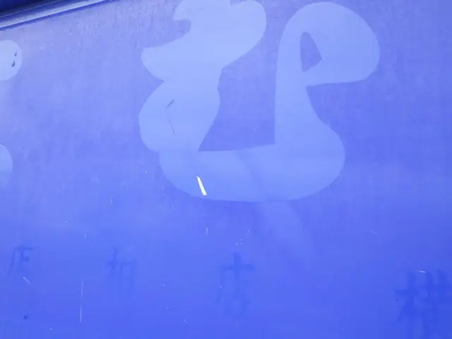 リヤアオリに看板跡があります。|三菱 キャンター TPG-FBA20の写真31