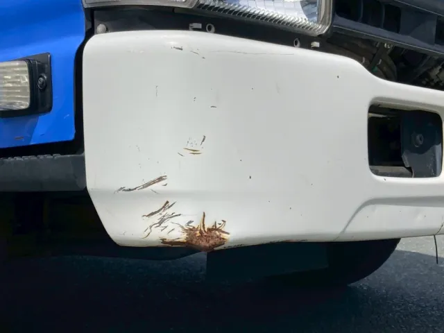 フロントバンバー右コーナー下部サビ、すり傷が有ります|いすゞ エルフ SKG-NKR85YN(2WD)の写真33