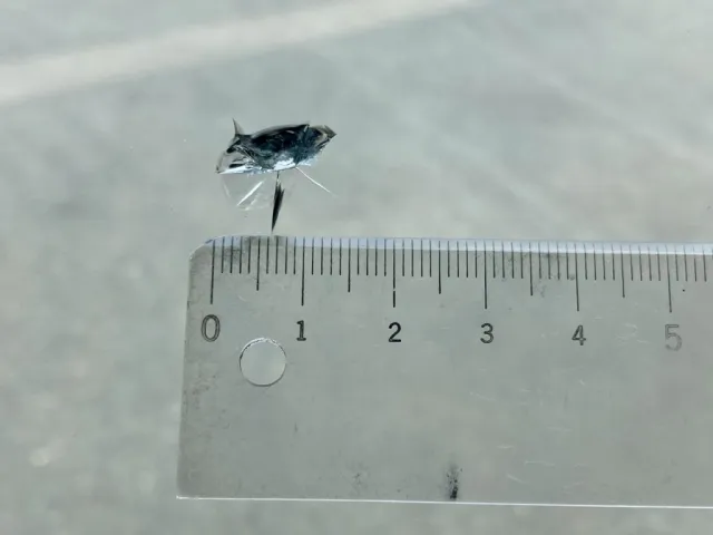 フロントガラスに飛び石が有ります|UDトラックス クオン 2PG-CD5CLの写真13