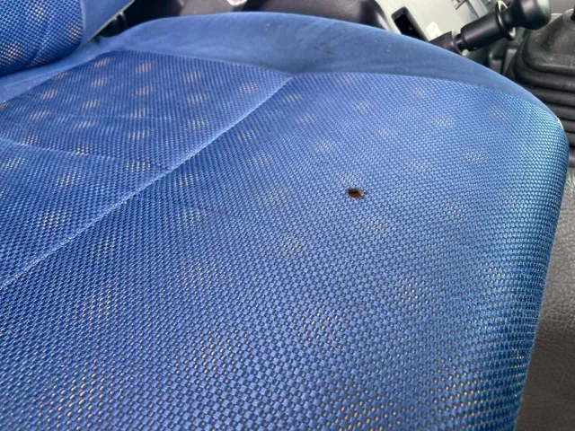 8|いすゞ ギガ QKG-CYL77AMの写真8