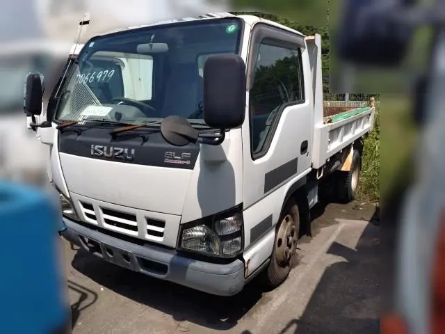 いすゞ エルフ PB-NKR81AN(2WD)の写真1