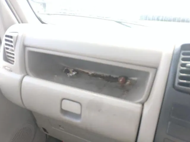 トヨタ ダイナ PB-XZU336(2WD)の写真6