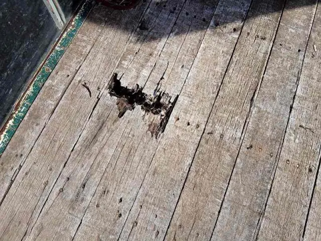 いすゞ フォワード SKG-FSR90S2(2WD)の写真10