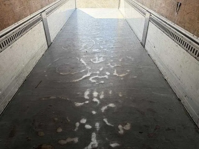 日野 プロフィア QKG-FR1EXBGの写真22